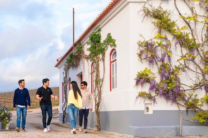 Setúbal: Winery & Fish Market Tasting Tour from Lisbon - Price and value: what $155.76 is really paying for
