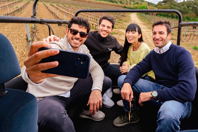 Setúbal: Winery & Fish Market Tasting Tour from Lisbon - Who this tour is best for