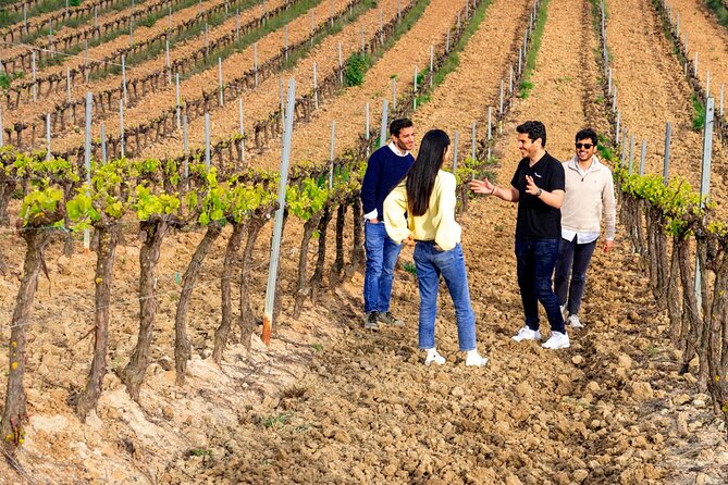 Setúbal: Winery & Fish Market Tasting Tour from Lisbon - Mercado do Livramento: local food, wine pairings, and a fish-market feel