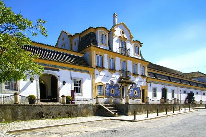 Setubal Winery Private Tour including Lunch at Sesimbra Beach - Small-Group vs. Private Feel: What “Limited to 15” Means for You