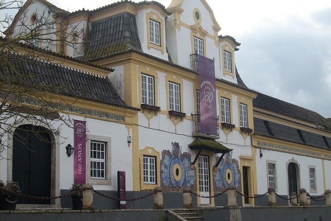 Setubal Winery Private Tour including Lunch at Sesimbra Beach - Price and Value: Is $405.51 Really Fair?