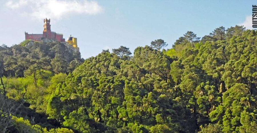 Sintra: 3.5-Hour Rock Climbing Experience - Key Highlights You’ll Care About