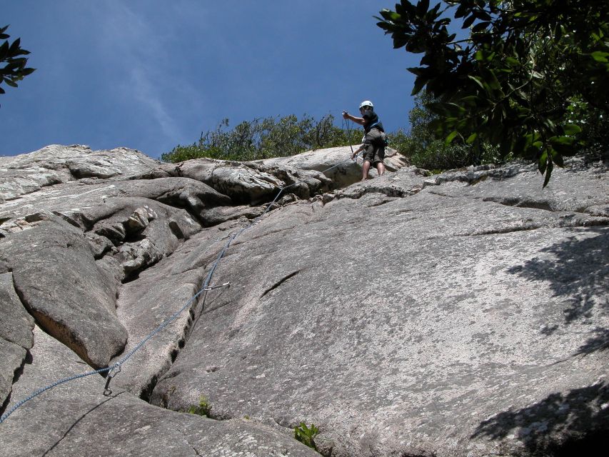 Sintra: 3.5-Hour Rock Climbing Experience - Meeting at Palácio Nacional de Sintra, Then Walking Into the Woods