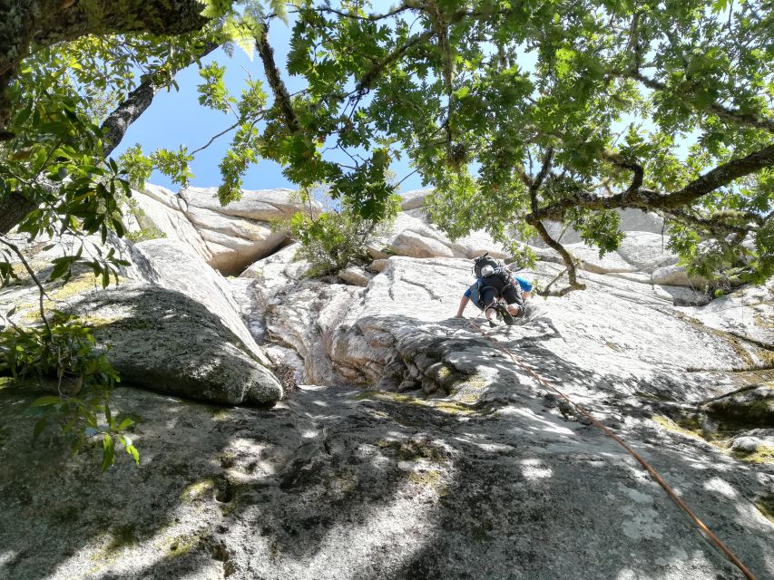 Sintra: 3.5-Hour Rock Climbing Experience - Beginner Routes and Group Mix: How the Guide Keeps You Comfortable