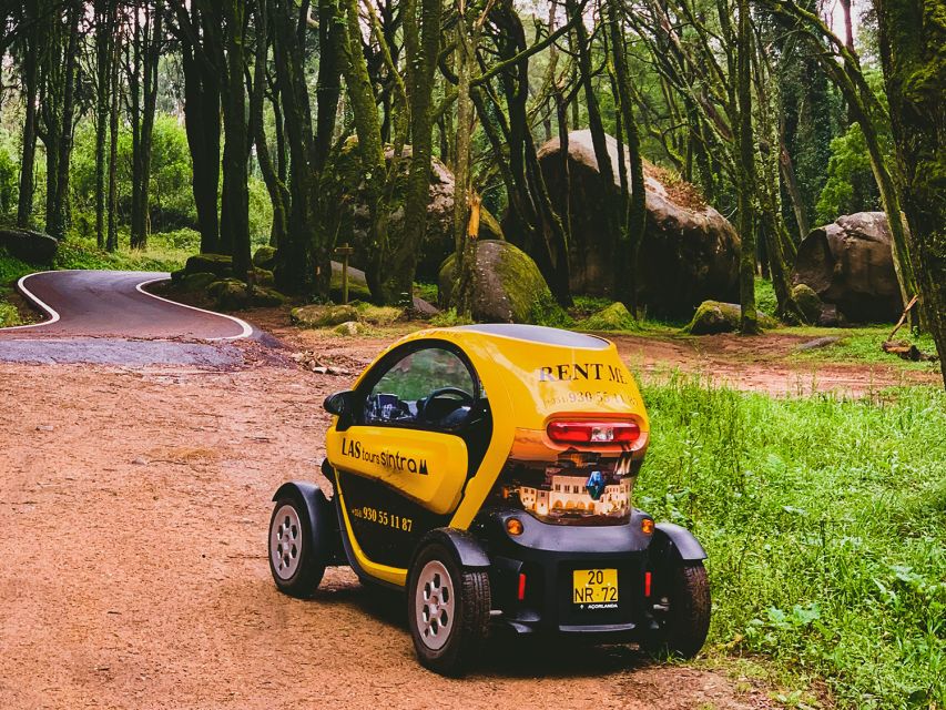 Sintra: 4 MAJOR Monuments Tour E-Car com GPS Audio Guide - Monserrate Palace and Park: the gardens that do the talking