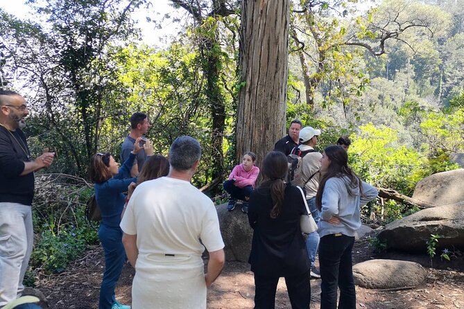 Sintra ALL PALACES - small groups (2-6pax) PRIVATE TOUR - Who this tour suits best (and who should consider another option)