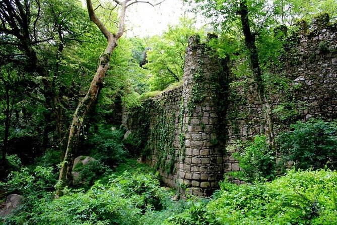 Sintra And Cascais Private Tour : Let us put Sintra in your Heart - Stop 3: Quinta da Regaleira—why people love the longer stop