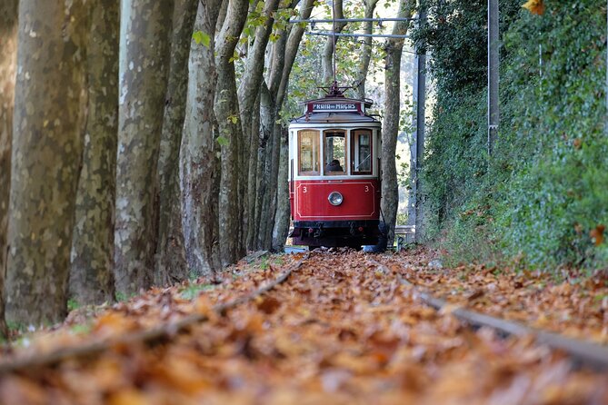 Sintra and Cascais Small Group Full-Day Tour from Lisbon - Pena Palace: the 19th-century showstopper—and why ticket timing matters