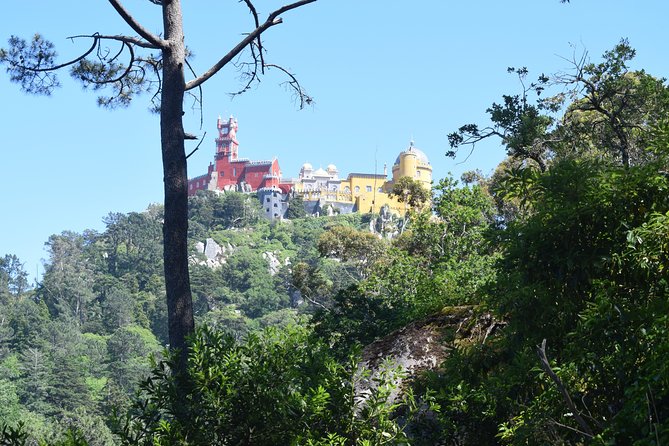 Sintra and Cascais with a Local Guide - Group tour starting from Sintra - Castelo dos Mouros: fortress views and the wall-walk vibe