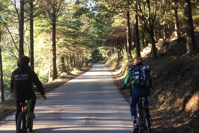 Sintra & Cascais e-bike Guided Tour - Parque de Monserrate: a quieter pause with romantic design