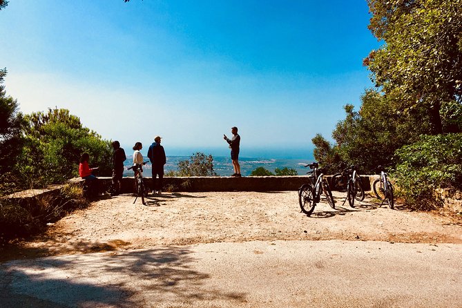 Sintra & Cascais e-bike Guided Tour - The core of the ride: Palácio Nacional de Sintra and what to notice