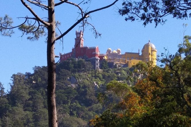 Sintra, Cascais, Estoril, Cabo da Roca Private tour - Quinta da Regaleira: a palace visit with Templar-and-Freemason storytelling