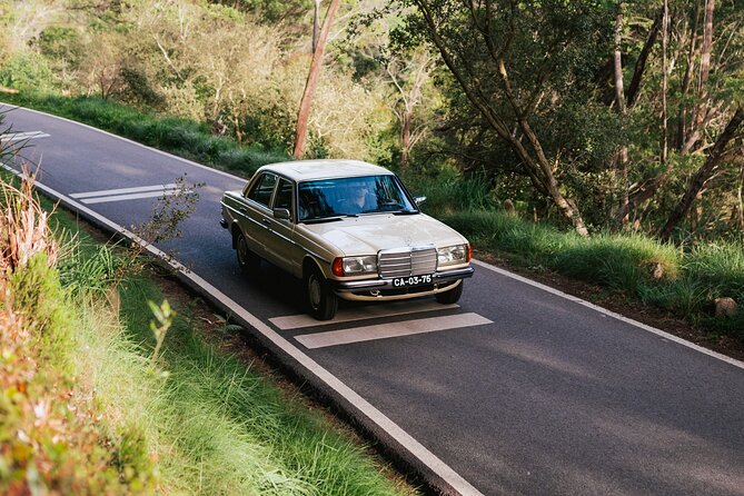 Sintra & Cascais Full Day - Private Tour in Classic Car - Pena Palace: plan around the one extra ticket you’ll buy