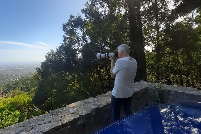 Sintra & Cascais: Private Tour Pena Park & Regaleira Included - Cascais Finish: A Coastal Reset Instead of a Whirlwind Ending