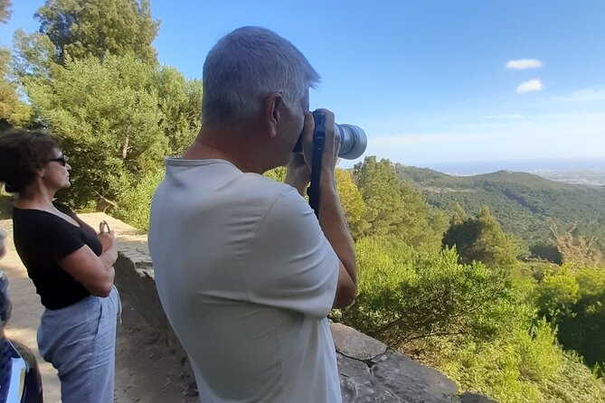Sintra & Cascais: Private Tour Pena Park & Regaleira Included - Price and Value: What $237.35 Buys You
