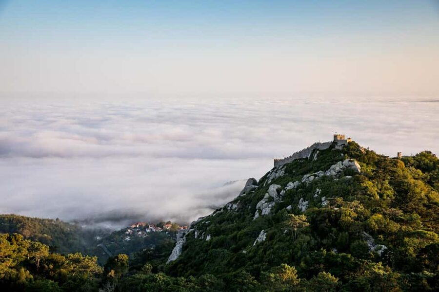 Sintra-Cascais: Private Tour with an Authentic Local Expert - Sintra Natural Park First: Setting the Tone with Palaces and Views