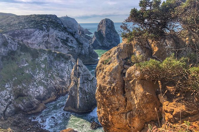 Sintra Cascais (Wine and Tapas) 4X4 Land Rover Panoramic Private Tour - Price and what you’re paying for (about $313.94 per person)