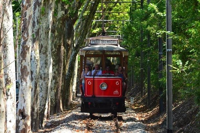 Sintra & Cascais with a local guide - Quinta da Regaleira: ticket included, time used well