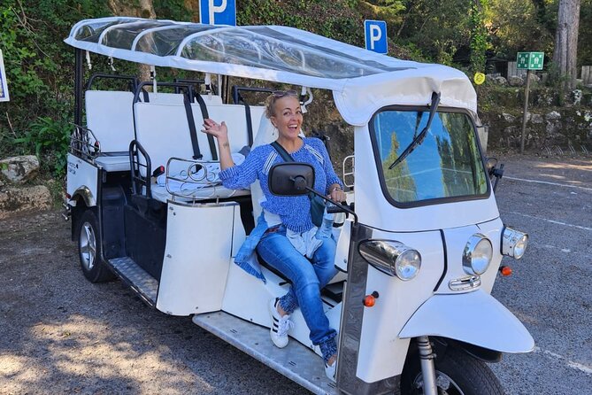 Sintra Electric Tuk Tuk Tour with Local Expert Guides 2h30 - The Big View Start: Sintra National Palace From Above