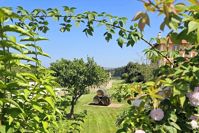 Sintra Food & Wine Experience – Tapas, Tastings & Culture - Sintra’s historical centre: how to use your final half hour