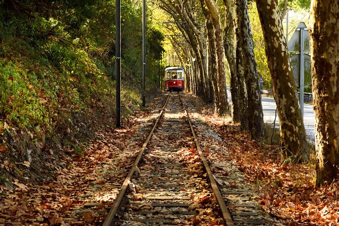 Sintra Food & Wine Experience – Tapas, Tastings & Culture - Pickup, transport, and the reality of a 6–7 hour day