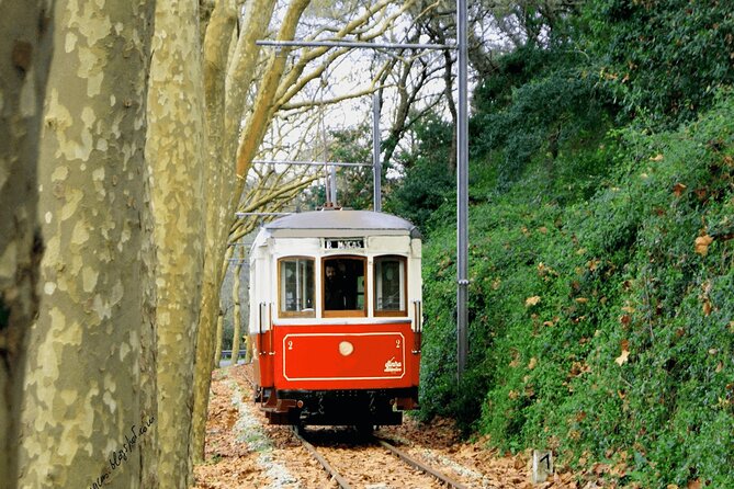 Sintra Food & Wine Experience – Tapas, Tastings & Culture - Price and value: what $395.30 actually buys you