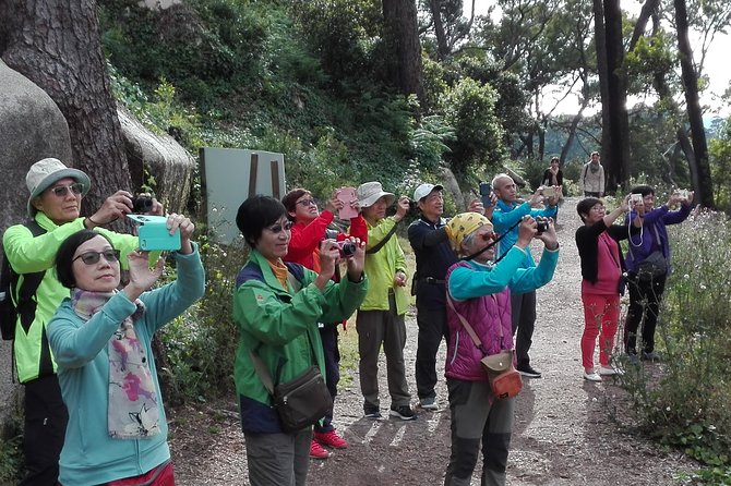Sintra Full-Day: Pena, Moorish Castle & Regaleira with Tickets - Castelo dos Mouros: 8th-Century Ramparts and Big Panoramas