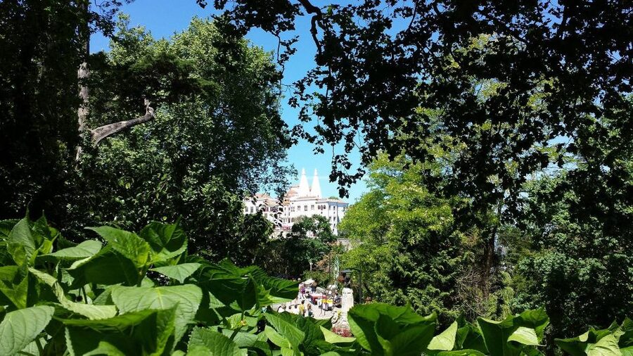 Sintra: Full-Day Tour from Lisbon with Wine Tasting - Pena Palace: The Main Event (and How to Make It Count)
