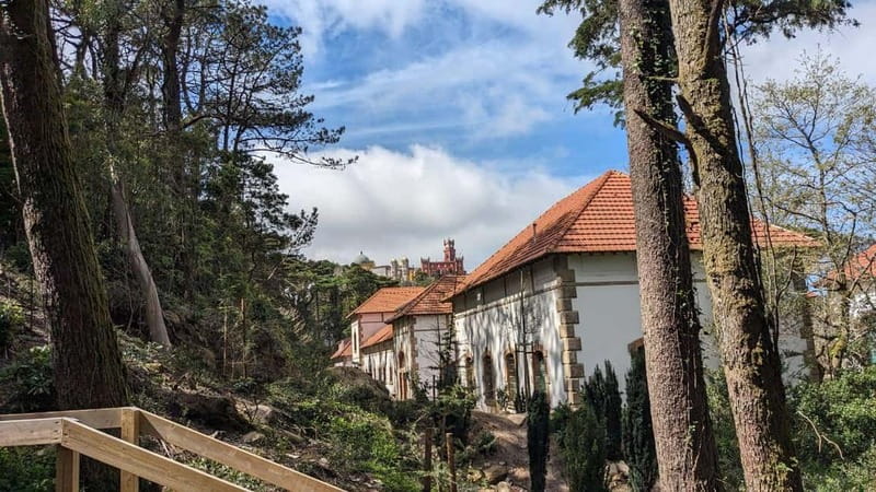 Sintra Hike: Past palaces and hidden paths. - Castle of the Moors: Pass-By Views With the Myths Running