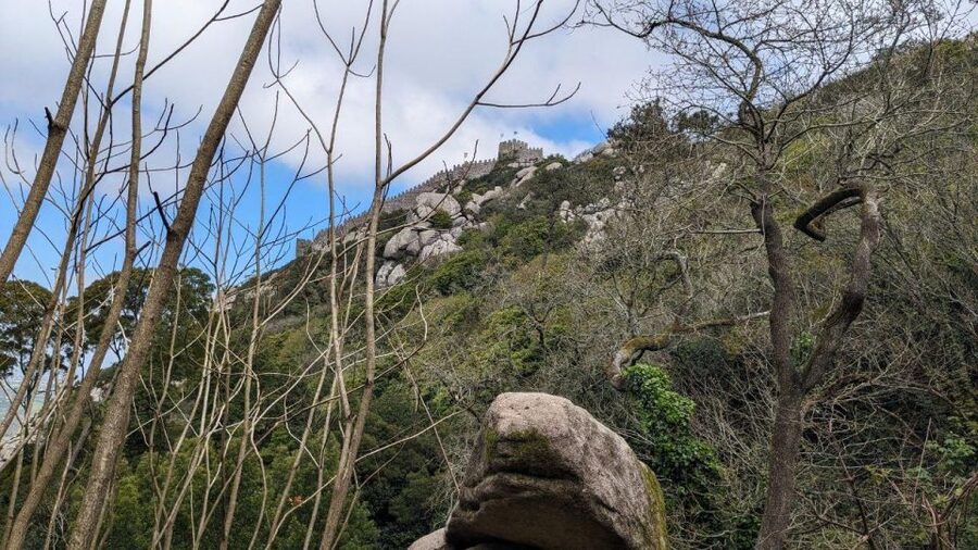 Sintra Hike: Past palaces and hidden paths. - Quinta da Regaleira: A Fairy-Tale Setting From the Trail