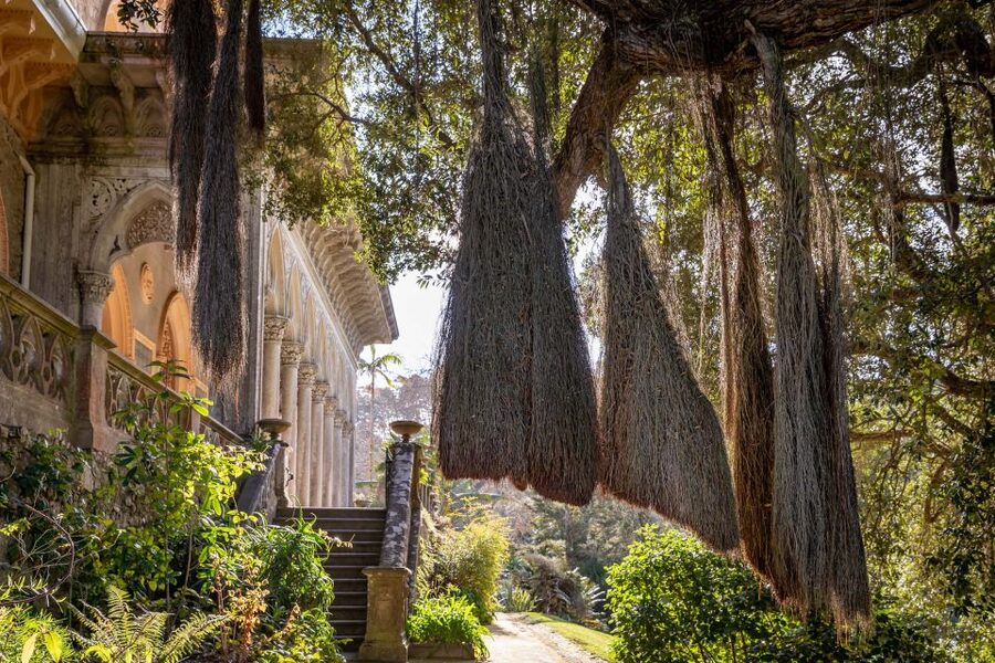 Sintra: Monserrate Palace & Park Ticket - Quick Hits to Know