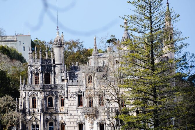 Sintra Palaces and Forest Private Tour - Pena National Palace and Park: Your Two-Hour Anchor