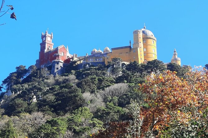 Sintra Palaces and Forest Private Tour - Optional Swap: If You Don’t Want Pena + Regaleira