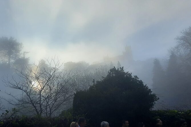 Sintra Palaces and Forest Private Tour - Price and Tickets: What You’re Paying For (and Why It Can Be Worth It)
