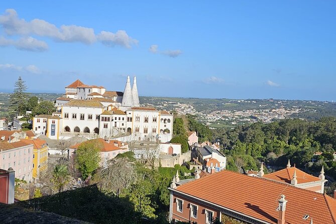 Sintra Palaces and Forest Private Tour - National Palace of Sintra and Castelo dos Mouros: Quick Stops, Big Payoff