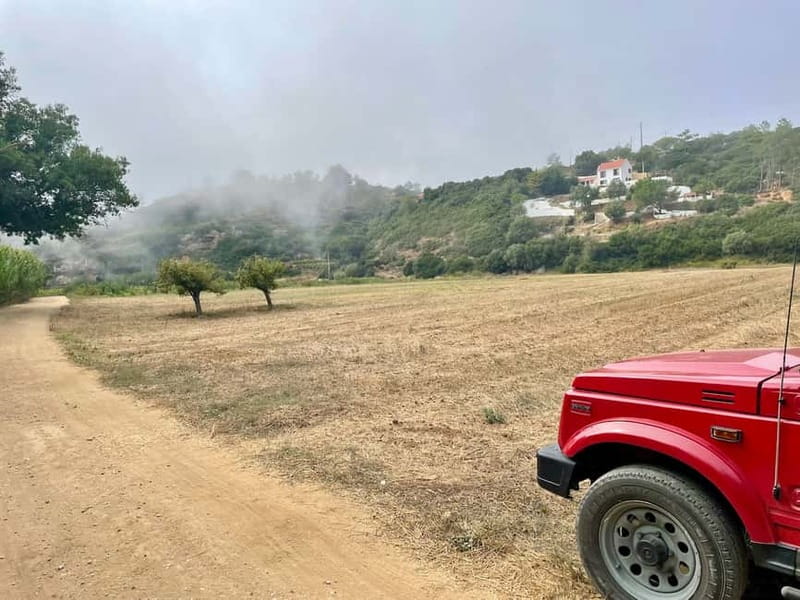 Sintra: Private Full-Day Sintra, Roca, and Cascais 4x4 Tour - Price and value: what you’re paying for at $116 per person