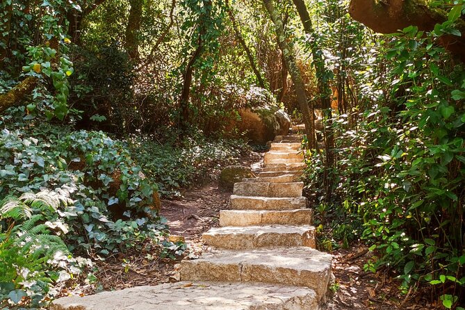 Sintra Private Hiking Adventure Tour - Why This Sintra Hike Works Better Than Most Sightseeing Plans