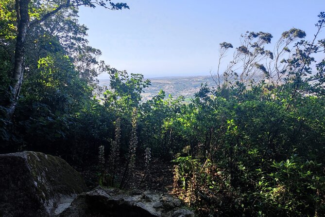 Sintra Private Hiking Adventure Tour - Stop 2: Fonte da Sabuga and a Miraculous Water Break