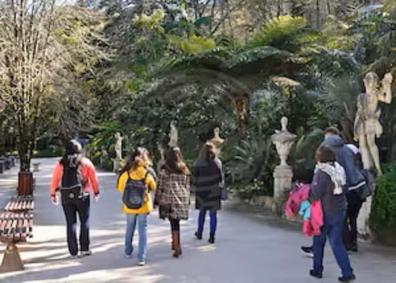 Sintra Private Walking Tour & Quinta da Regaleira - Price and Value: $353 Per Person, Plus What You Get Included