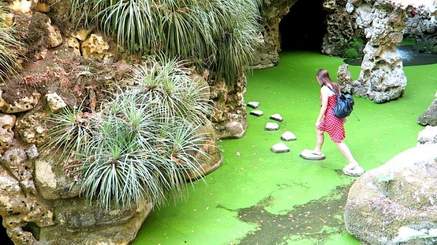 Sintra: Quinta da Regaleira Entry Ticket and Guided Tour - Gardens, Lakes, and Grottoes: When the View Gets Explained
