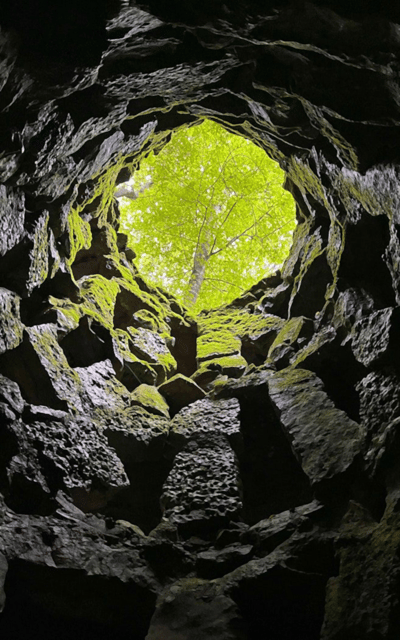 Sintra: Quinta da Regaleira Skip-the-Line Ticket - What You’ll Actually See: Chapel, Grottoes, Lakes, Fountains, and More