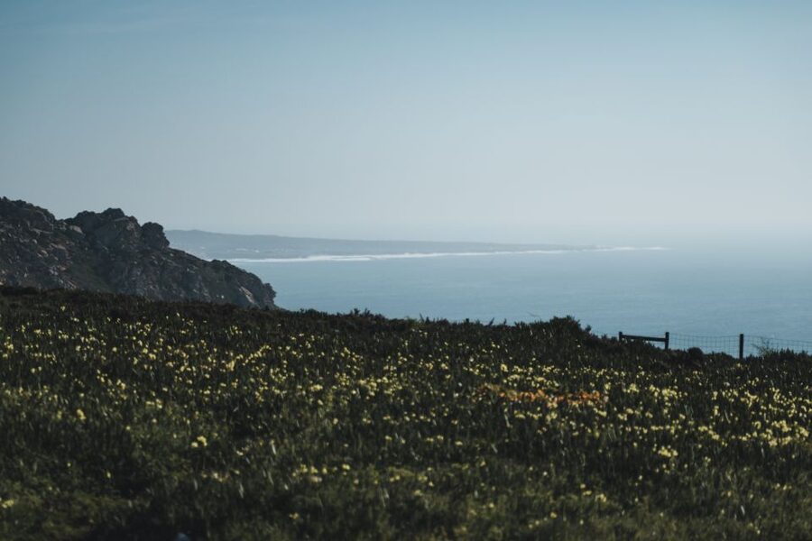 Sintra: Regaleira, Cabo da Roca and Cascais Jeep Safari Tour - Price and value: what $73 buys you (and what it doesn’t)