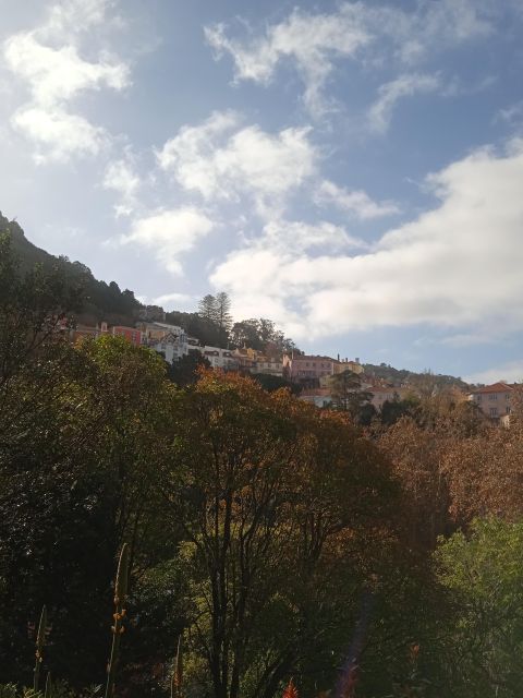 Sintra : Romantic Sintra and Lisbon Coast - Pena Palace grounds and the lakes: the part most people remember