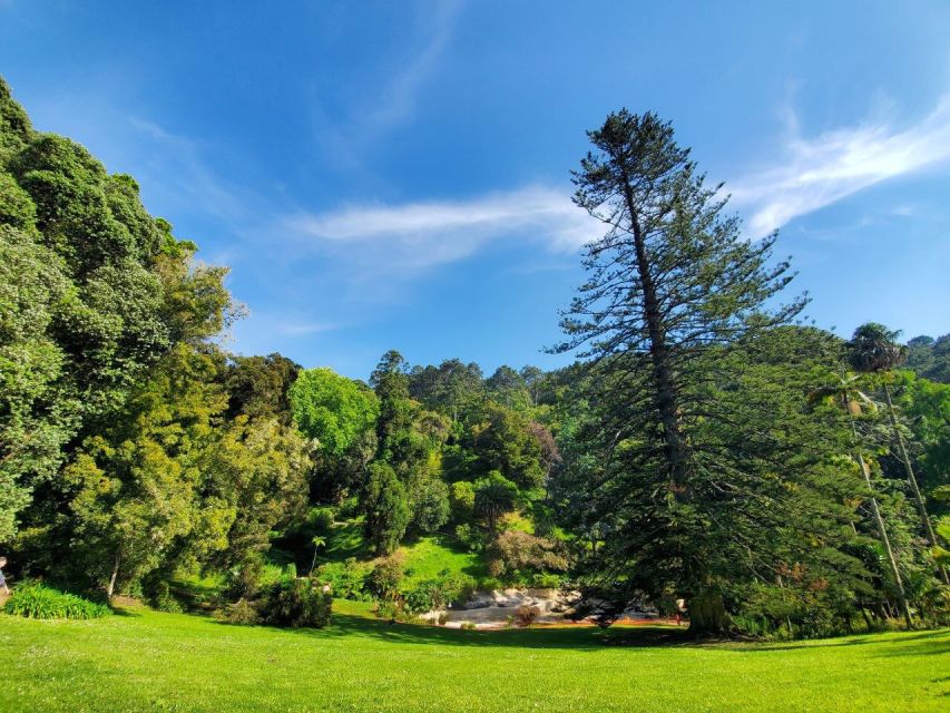 Sintra: Self-Driven Trip with Route-Planning Support - Seteais Palace and Monserrate Palace: Two Different Flavors of Beauty