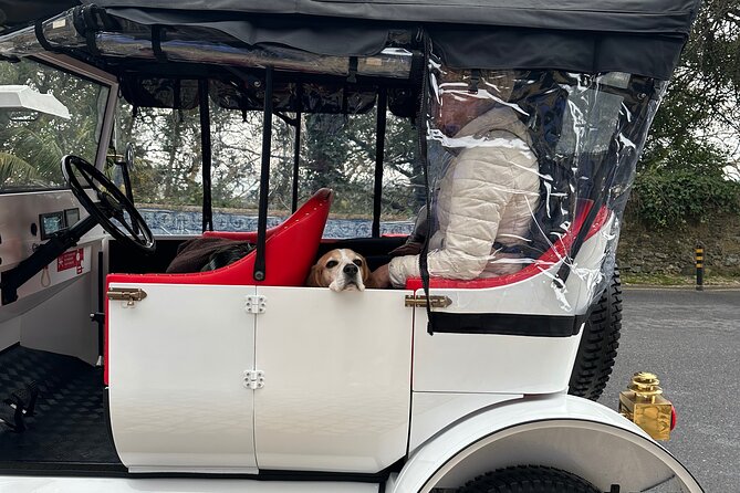 Sintra Tour by Electric Tuk Tuk - What’s included vs what costs extra (so you can budget without surprises)