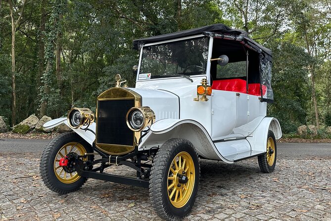 Sintra Tour by Electric Tuk Tuk - Who should book this electric tuk-tuk Sintra tour?