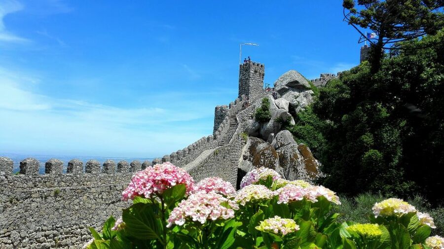 Sintra: Truly Private Tour to Pena Palace & Regaleira - Price and value: what $553 covers (and what it doesn’t)