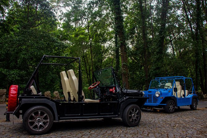 Sintra Tuk Tuk (Electric) 4-5 hours tour - Stop 2: Palácio e Parque Biester, the Johnny Depp film location
