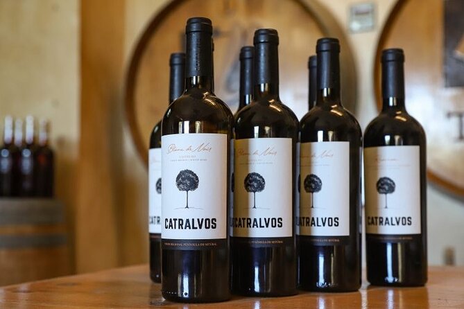 Small Group Full-Day Arrábida Wine Tour and Food Tasting - Key Things That Make This Tour Worth It