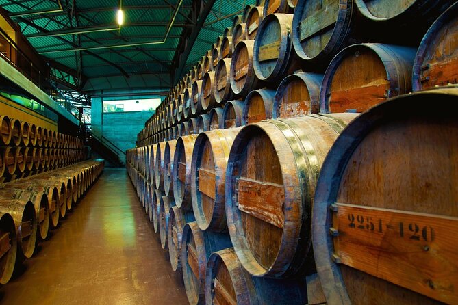 Small Group Full-Day Arrábida Wine Tour and Food Tasting - Arrábida Natural Park: Viewpoints Without the Big Hike Commitment